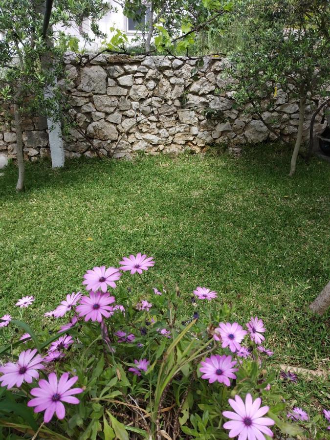 קסאמיל Altin Skrapari Guesthouse מראה חיצוני תמונה