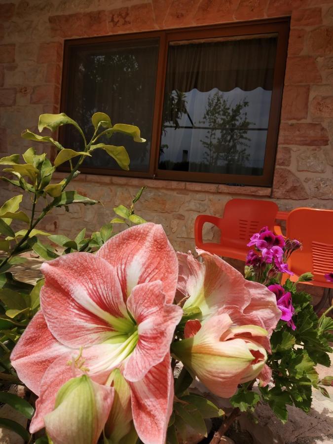 קסאמיל Altin Skrapari Guesthouse מראה חיצוני תמונה