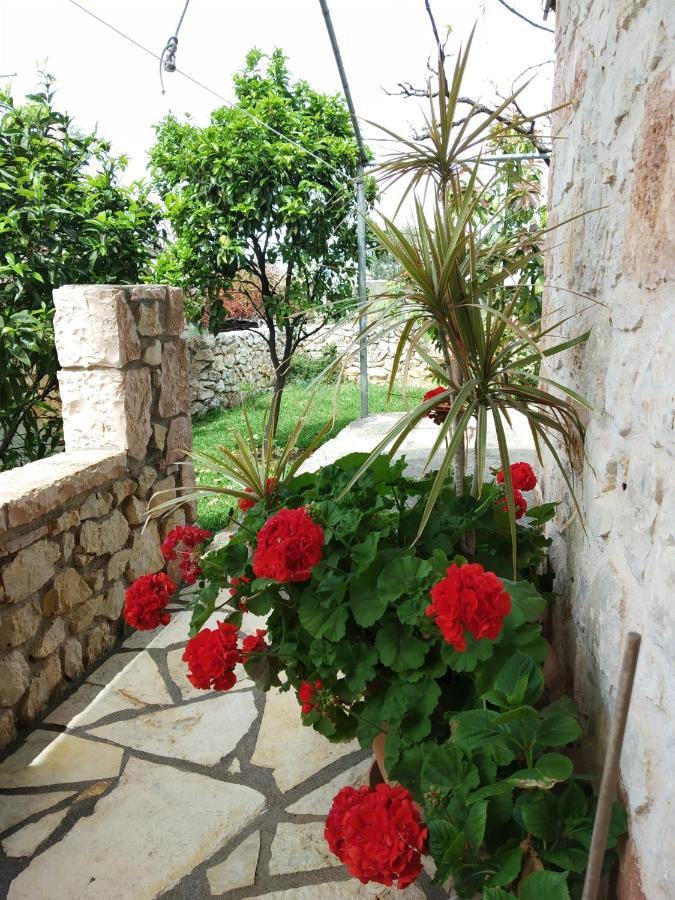 קסאמיל Altin Skrapari Guesthouse מראה חיצוני תמונה