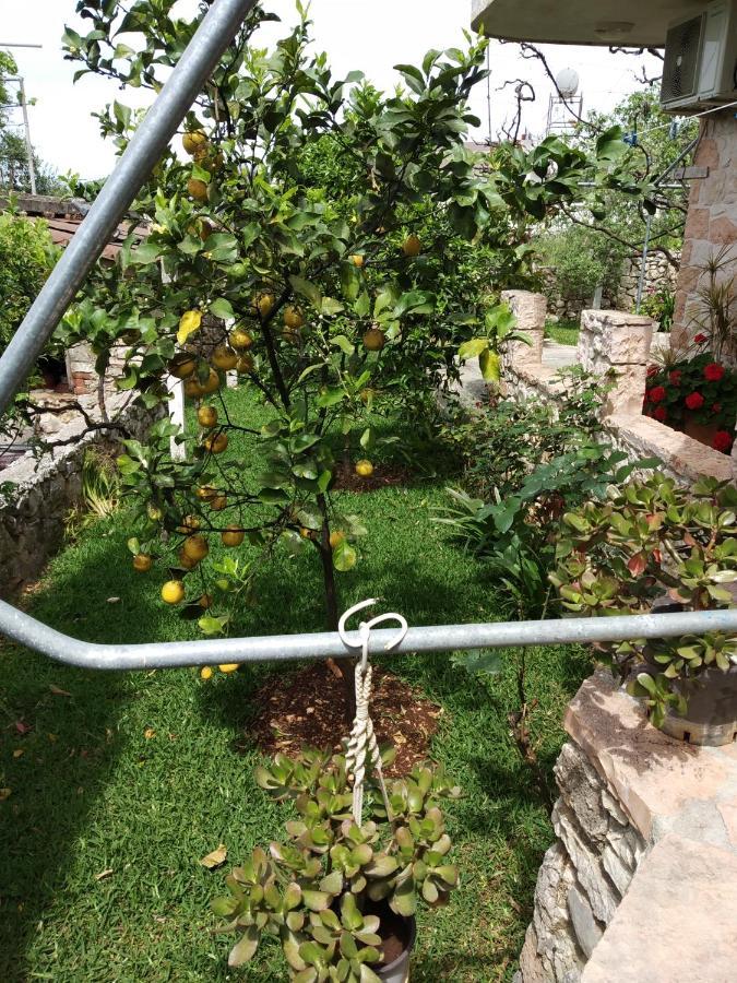 קסאמיל Altin Skrapari Guesthouse מראה חיצוני תמונה