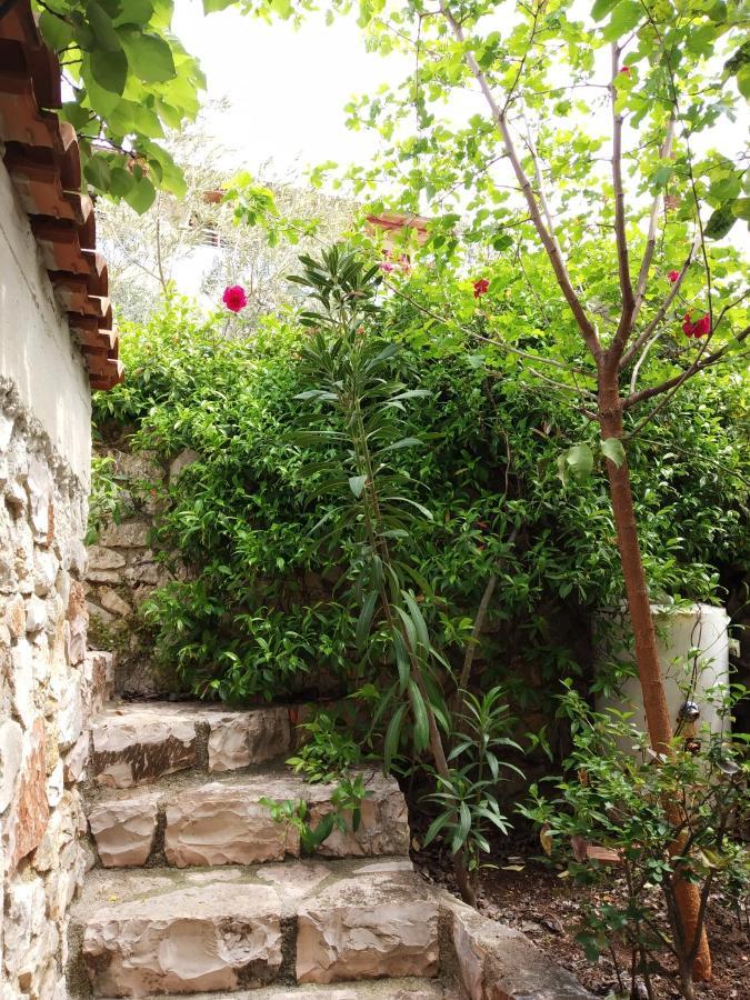 קסאמיל Altin Skrapari Guesthouse מראה חיצוני תמונה