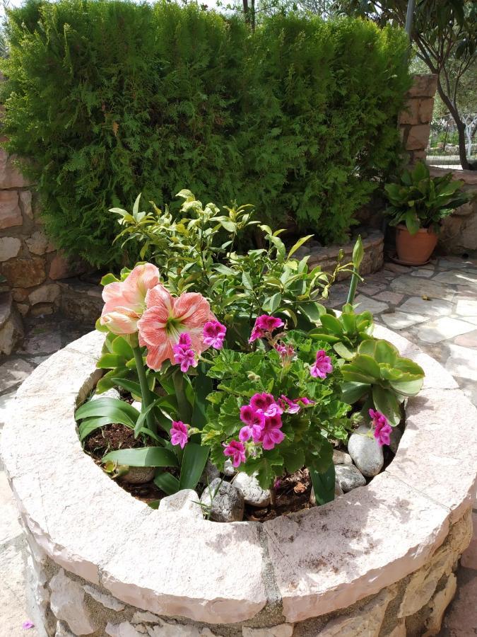 קסאמיל Altin Skrapari Guesthouse מראה חיצוני תמונה