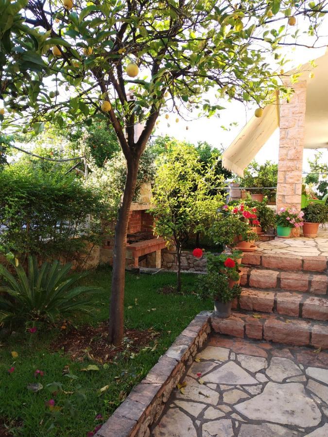 קסאמיל Altin Skrapari Guesthouse מראה חיצוני תמונה