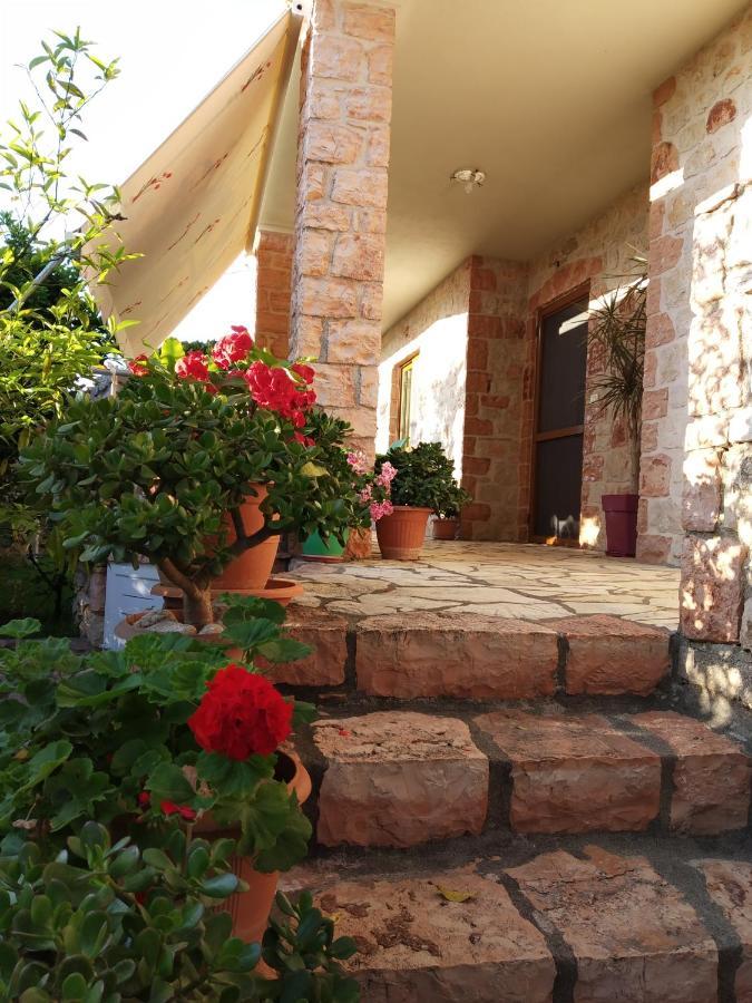 קסאמיל Altin Skrapari Guesthouse מראה חיצוני תמונה