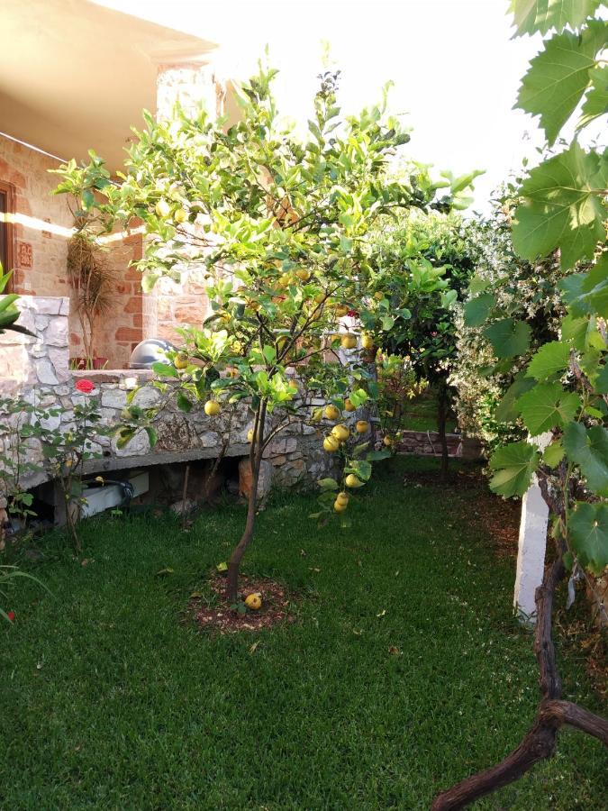 קסאמיל Altin Skrapari Guesthouse מראה חיצוני תמונה