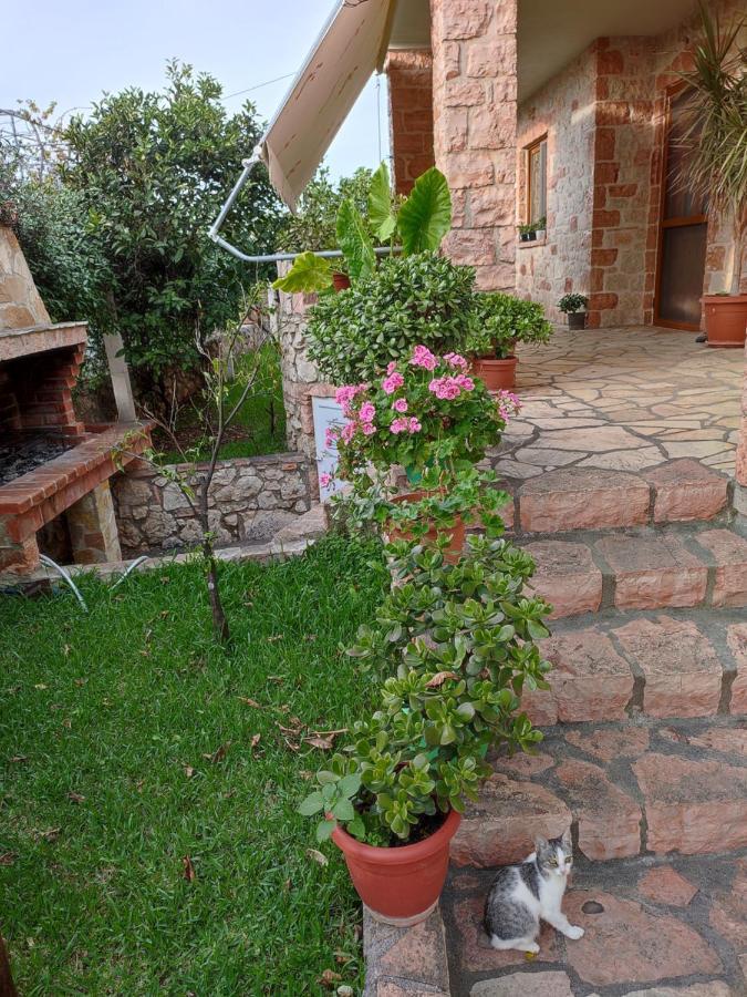 קסאמיל Altin Skrapari Guesthouse מראה חיצוני תמונה